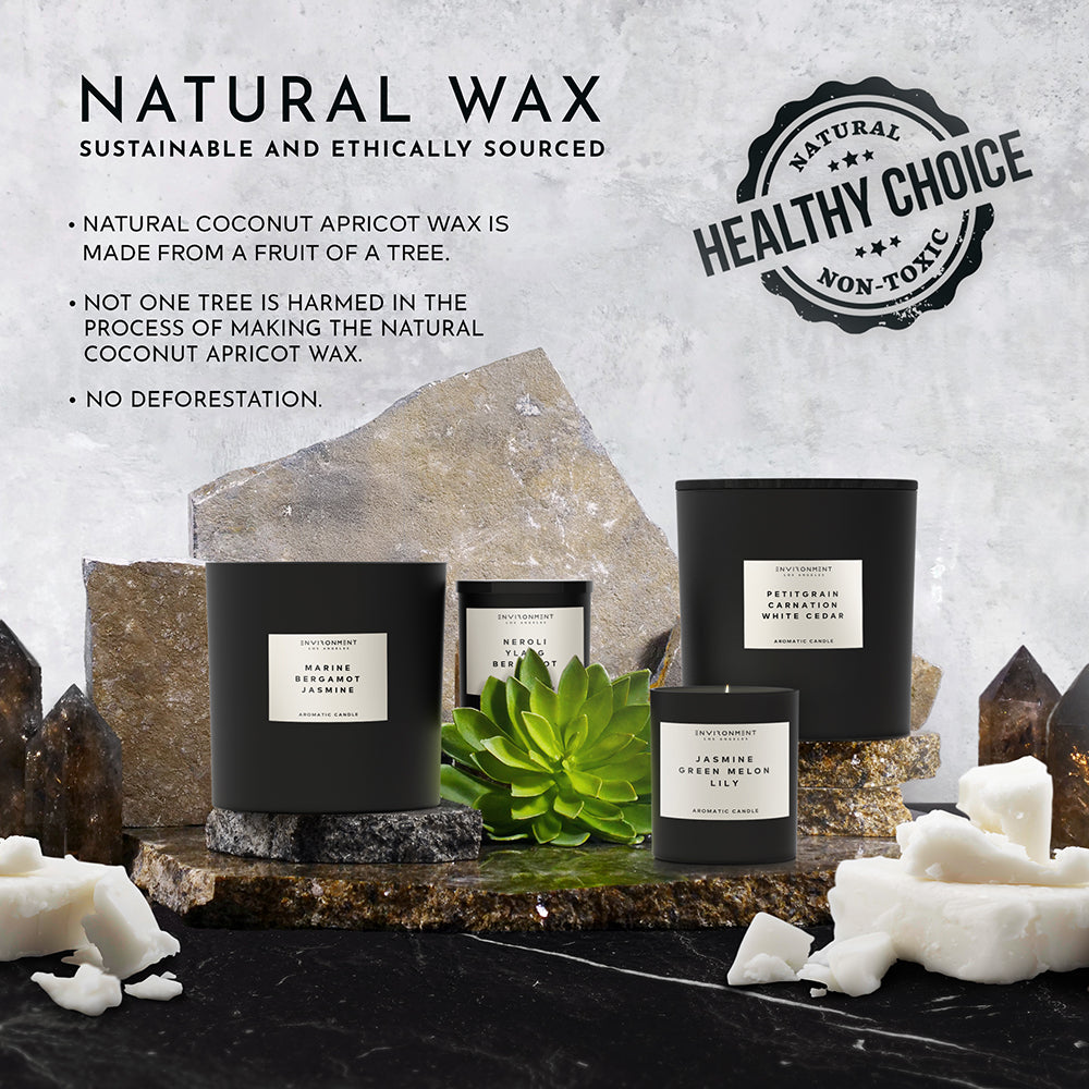 55oz Sandalwood | Vanilla | Amber Candle (Inspired by Hotel Costes®)