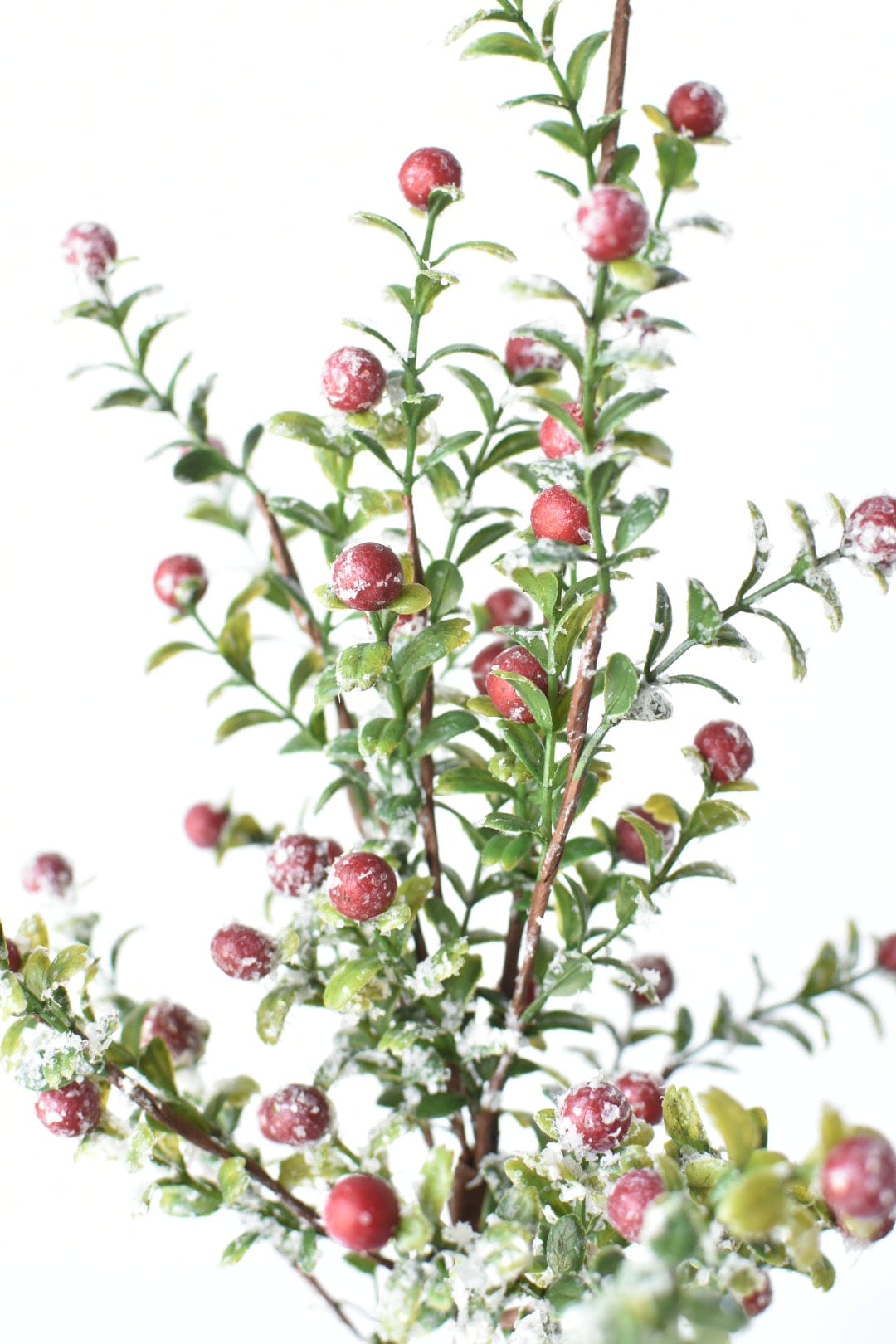 21" Faux Frosted Greenery with Red Berry Stem