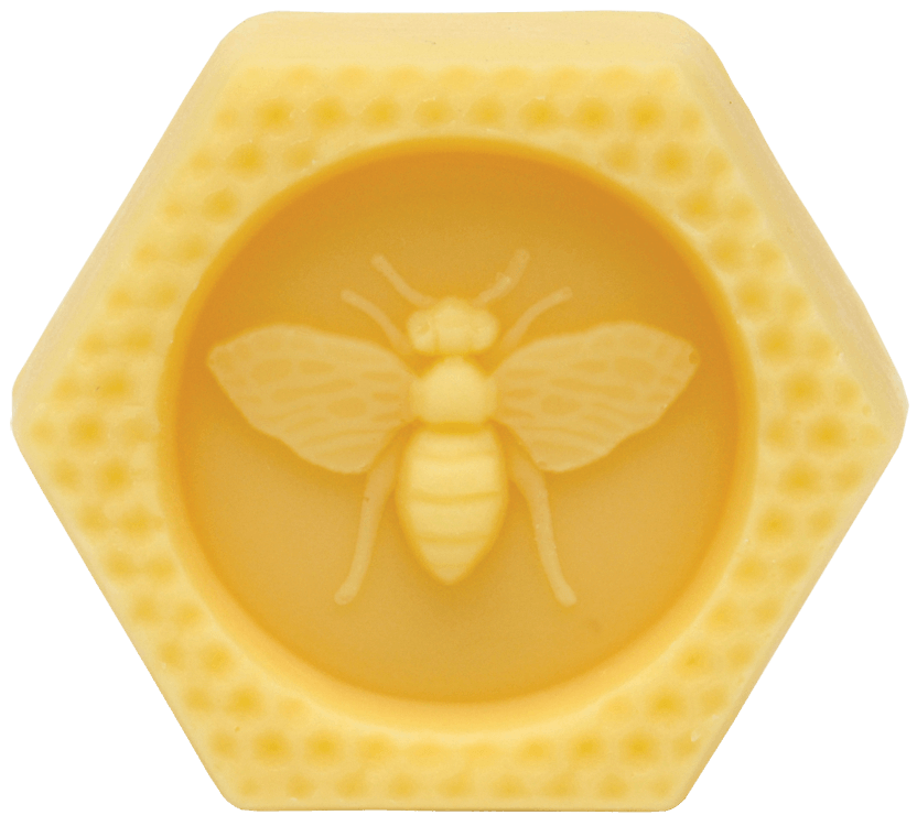 Large Bee Bar Solid Lotion
