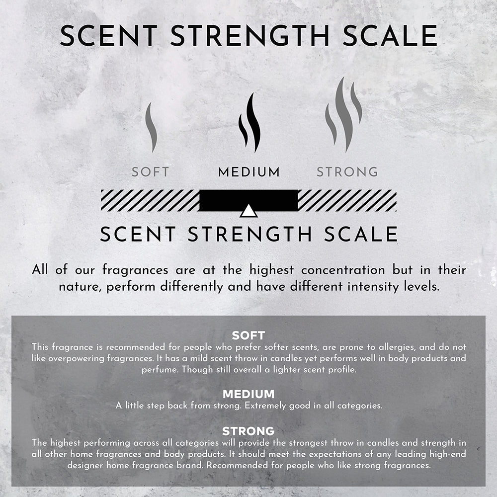 55oz Santal | Tonka | Musk Candle (Inspired by Le Labo Santal® and 1 Hotel®)