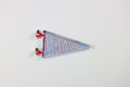 Pi Beta Phi Acrylic Pennant Flag Shelfie