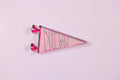 Phi Mu Acrylic Pennant Flag Shelfie