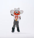 Raider Red Acrylic Block Shelfie